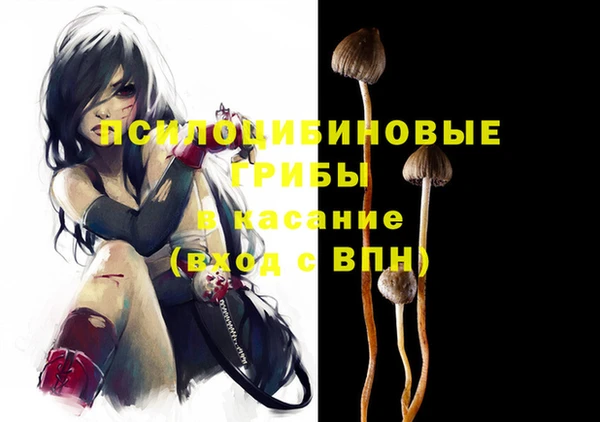 твердый Баксан