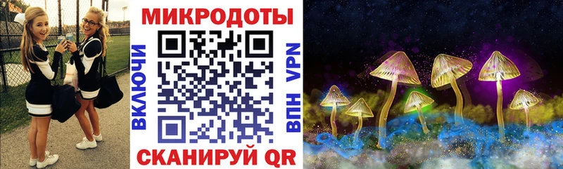 Галлюциногенные грибы Psilocybe  KRAKEN ONION  Заволжск 
